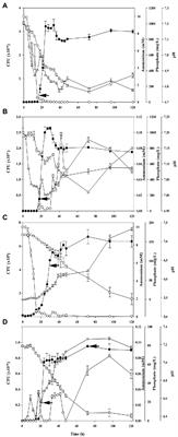 Holistic view of biological nitrogen fixation and phosphorus mobilization in <mark class="highlighted">Azotobacter</mark> chroococcum NCIMB 8003